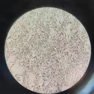 After low-pressure homogenization