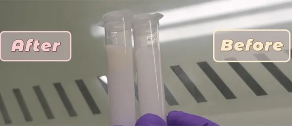 Perfume Emulsion Homogenization