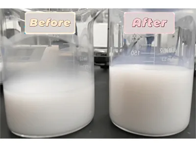 PVDF dispersion before processing