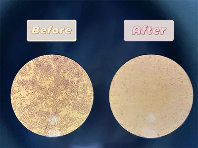 Shenyang Pharmaceutical University