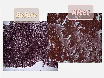 Cell disruption of the freshwater microalgae Haematococcus pluvialis